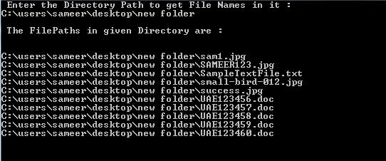 C#.Net Program Get FilePaths Output_1