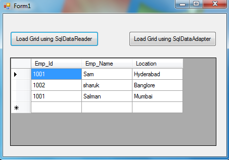 DataGridView winforms screen 2